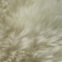 Carpet white animal skin
