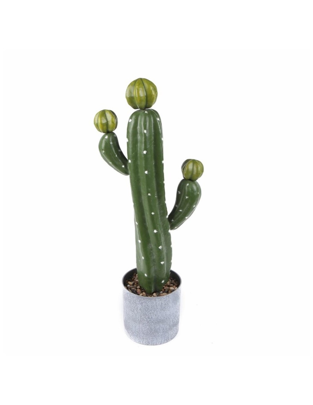 Doe een poging financieel Bachelor opleiding Cactus pot D12*47cm Cactus pot