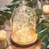 Cloche en verre YOKUSUKA avec base en bois H14CM