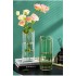 JULIO glass vase 10xH30 cm