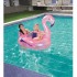 Inflatable pink flamingo 127x127 cm