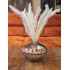 bouquet de 10 petites tiges pampas h75cm coloris blanc