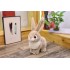 Rabbit plush H35cm