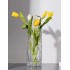 Glass vase, D12xH30CM - MANON Color Transparent