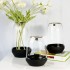 Glazen vaas met zwarte onderkant en gouden rand, D10xH18.5CM