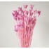 Bouquet of dried and wrapped star anise flowers, 100g, H50-75 cm Color Pink