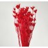 Bouquet of dried and wrapped star anise flowers, 100g, H50-75 cm Color Red