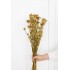 Bouquet de fleur d'anis étoilée séché et emballé, 100g, H50-75 cm Couleur Brun