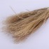 Dried and wrapped duster flower bouquet, 200g, H75cm Color chêne naturel