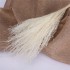Dried and wrapped duster flower bouquet, 200g, H75cm Color Beige