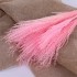 Dried and wrapped duster flower bouquet, 200g, H75cm Color Pink