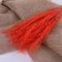 Dried and wrapped duster flower bouquet, 200g, H75cm Color Red