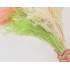 Dried and wrapped duster flower bouquet, 200g, H75cm Color Green