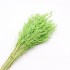Dried and wrapped oat bouquet, 100g, H60-75cm Color Green