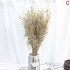 Bouquet d'avoine séché et emballé, 100g, H60-75cm
