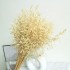 Dried and wrapped oat bouquet, 100g, H60-75cm