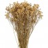 Bouquet of dried and wrapped gypsophila, 100g, H75cm Color Brown