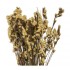 Bouquet of dried and wrapped forget-me-nots, 200g, H60-75 cm