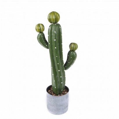 Pot pour Cactus D12*47cm...