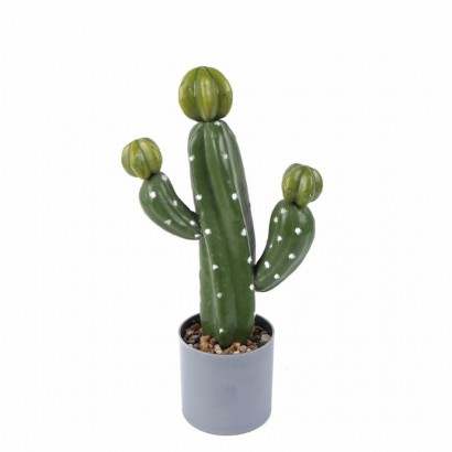 Pot gris Cactus