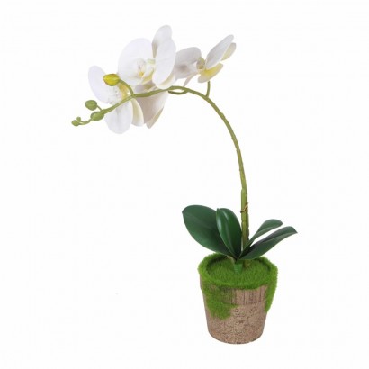 PArtificial plant orchid 4...