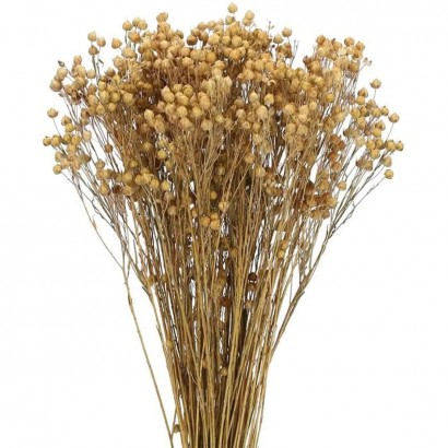 Bouquet of dried and...