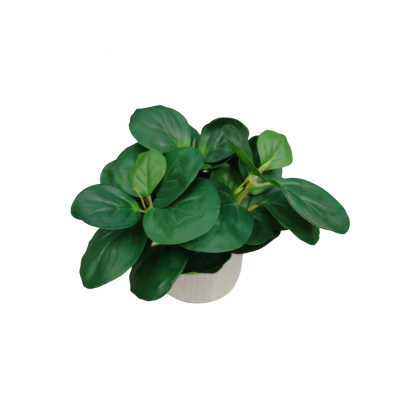 Plante artificielle, H19CM