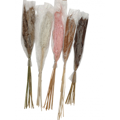 Dry reeds, H70CM - Pink