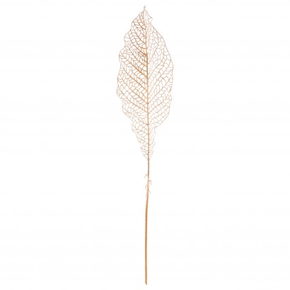 Golden magnolia leaf stem,...